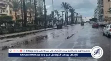 تحذير الأرصاد.. شبورة مائية كثيفة تضرب الطرق ودرجات الحرارة تنخفض ليلاً السبت بمصر